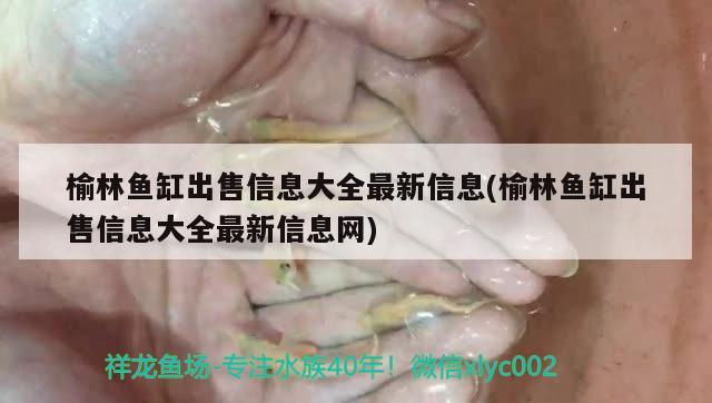 榆林魚缸出售信息大全最新信息(榆林魚缸出售信息大全最新信息網(wǎng))