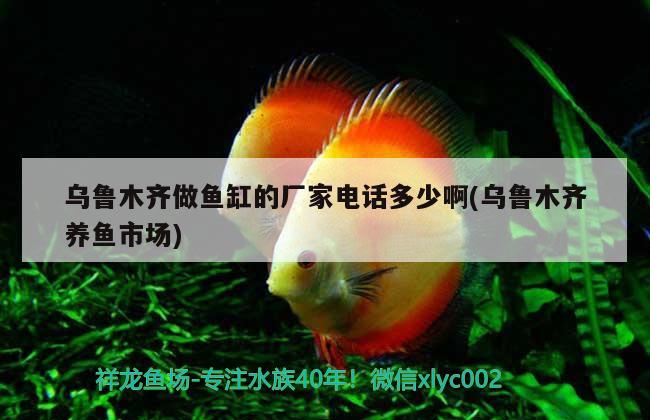 烏魯木齊做魚缸的廠家電話多少啊(烏魯木齊養(yǎng)魚市場) 過濾設(shè)備