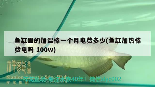 魚缸里的加溫棒一個月電費(fèi)多少(魚缸加熱棒費(fèi)電嗎100w) 黑桃A魚苗