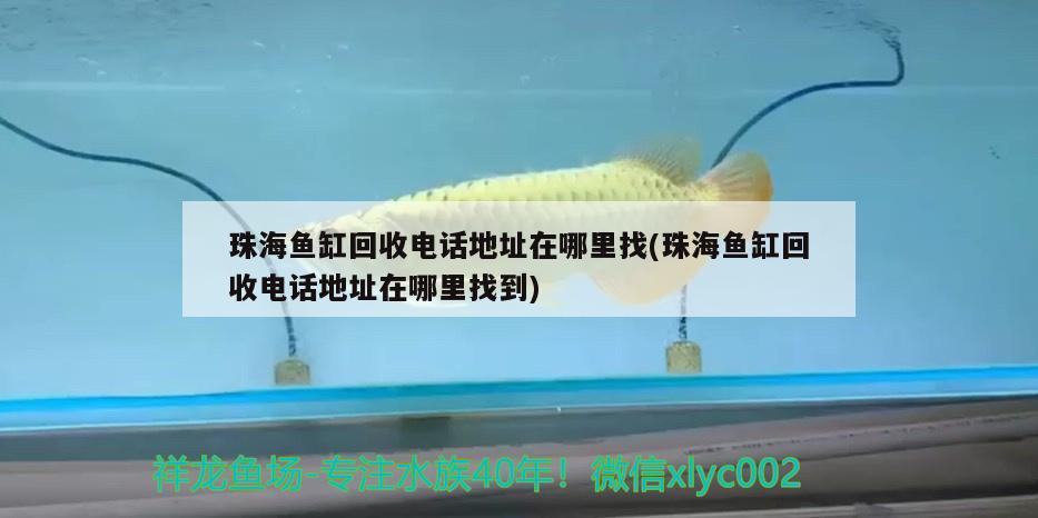 珠海魚缸回收電話地址在哪里找(珠海魚缸回收電話地址在哪里找到) 沖氧泵