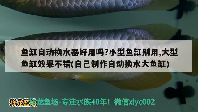 魚缸自動換水器好用嗎?小型魚缸別用,大型魚缸效果不錯(自己制作自動換水大魚缸) 大日玉鯖魚