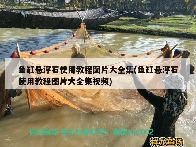 魚(yú)缸懸浮石使用教程圖片大全集(魚(yú)缸懸浮石使用教程圖片大全集視頻) 大嘴鯨魚(yú)