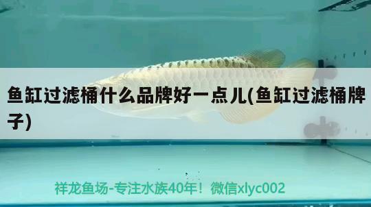 魚缸過濾桶什么品牌好一點(diǎn)兒(魚缸過濾桶牌子) 過濾設(shè)備