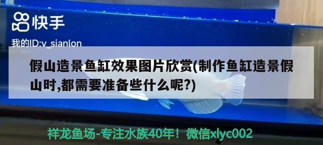 假山造景魚(yú)缸效果圖片欣賞(制作魚(yú)缸造景假山時(shí),都需要準(zhǔn)備些什么呢?)