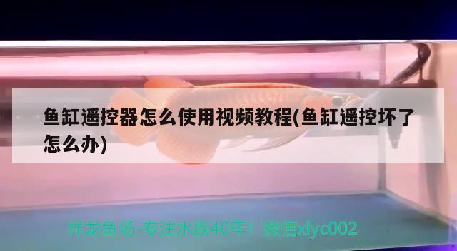 魚缸遙控器怎么使用視頻教程(魚缸遙控壞了怎么辦) 九鼎魚缸