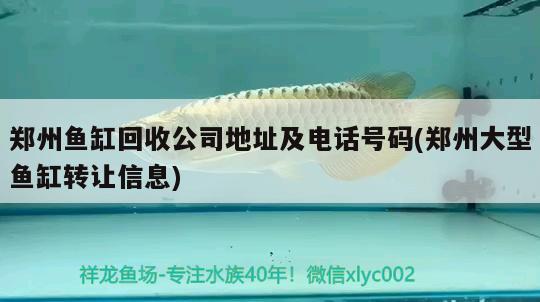 鄭州魚(yú)缸回收公司地址及電話號(hào)碼(鄭州大型魚(yú)缸轉(zhuǎn)讓信息)