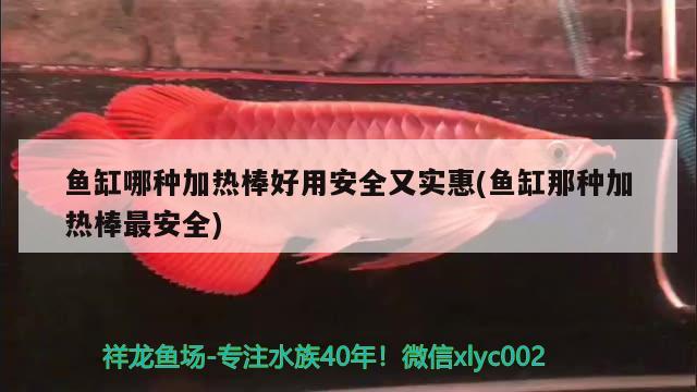 魚缸哪種加熱棒好用安全又實惠(魚缸那種加熱棒最安全)