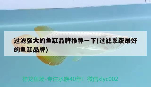 過濾強大的魚缸品牌推薦一下(過濾系統(tǒng)最好的魚缸品牌) 虎斑恐龍魚