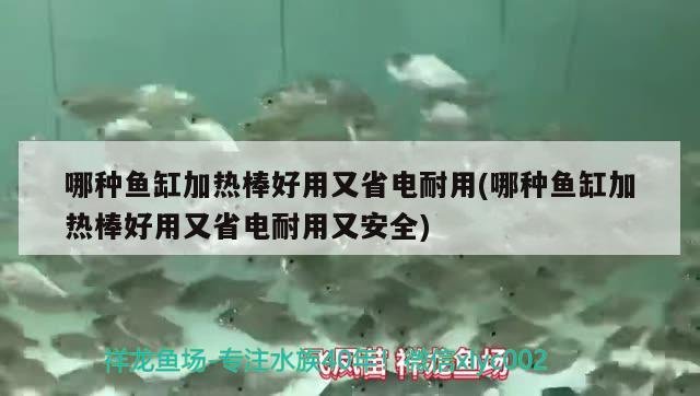 哪種魚缸加熱棒好用又省電耐用(哪種魚缸加熱棒好用又省電耐用又安全) 祥龍進口元寶鳳凰魚