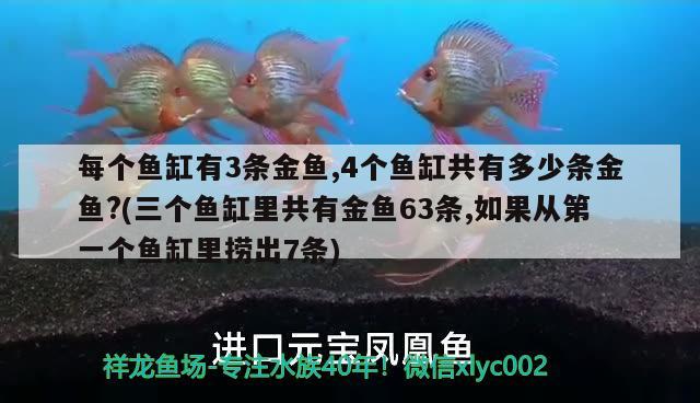 每個(gè)魚(yú)缸有3條金魚(yú),4個(gè)魚(yú)缸共有多少條金魚(yú)?(三個(gè)魚(yú)缸里共有金魚(yú)63條,如果從第一個(gè)魚(yú)缸里撈出7條)