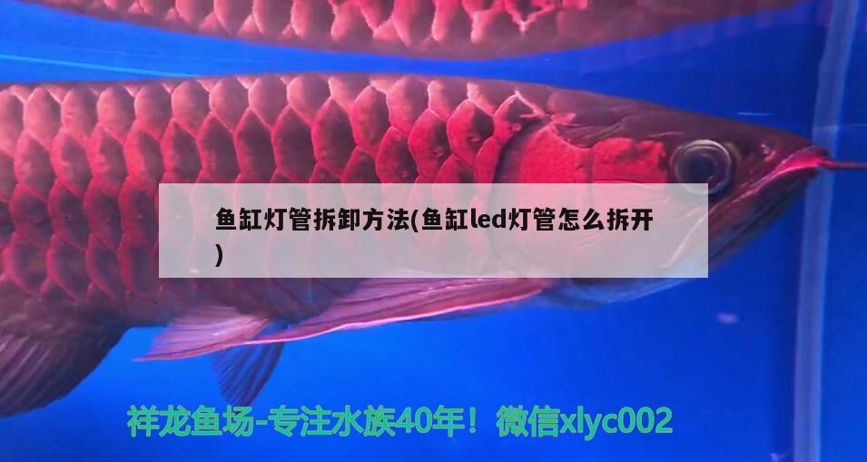 魚缸燈管拆卸方法(魚缸led燈管怎么拆開(kāi))