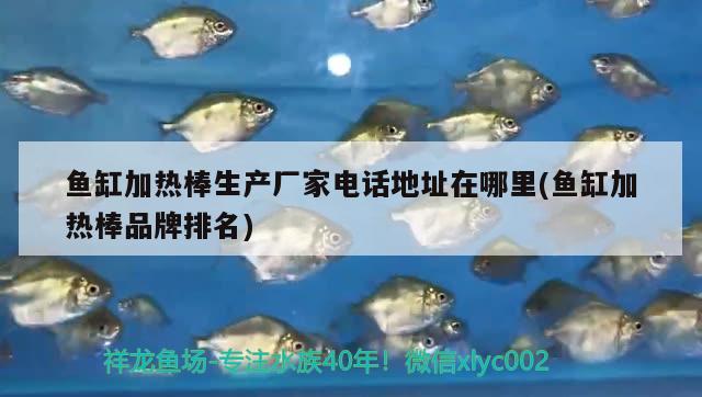 魚(yú)缸加熱棒生產(chǎn)廠家電話地址在哪里(魚(yú)缸加熱棒品牌排名)