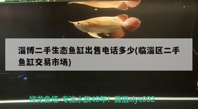 淄博二手生態(tài)魚缸出售電話多少(臨淄區(qū)二手魚缸交易市場) 觀賞魚市場（混養(yǎng)魚） 第2張