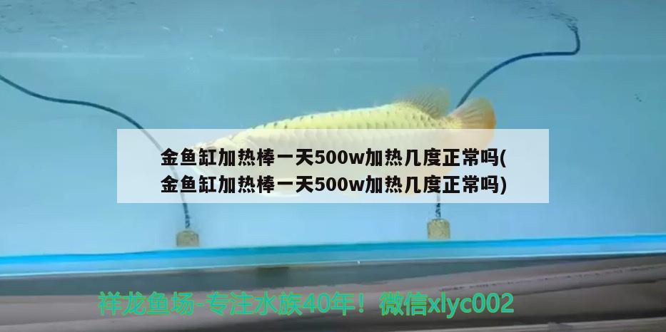 金魚缸加熱棒一天500w加熱幾度正常嗎(金魚缸加熱棒一天500w加熱幾度正常嗎) 眼斑魚