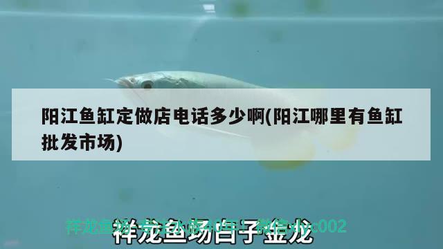 陽江魚缸定做店電話多少啊(陽江哪里有魚缸批發(fā)市場)