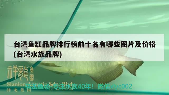 臺(tái)灣魚(yú)缸品牌排行榜前十名有哪些圖片及價(jià)格(臺(tái)灣水族品牌) 水族品牌