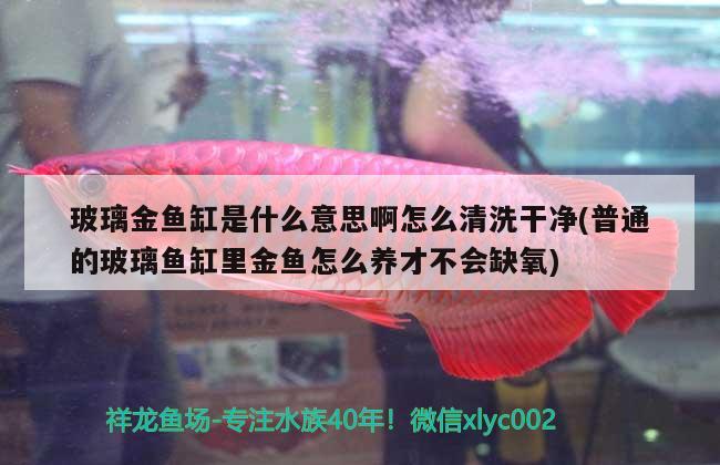 玻璃金魚缸是什么意思啊怎么清洗干凈(普通的玻璃魚缸里金魚怎么養(yǎng)才不會(huì)缺氧)