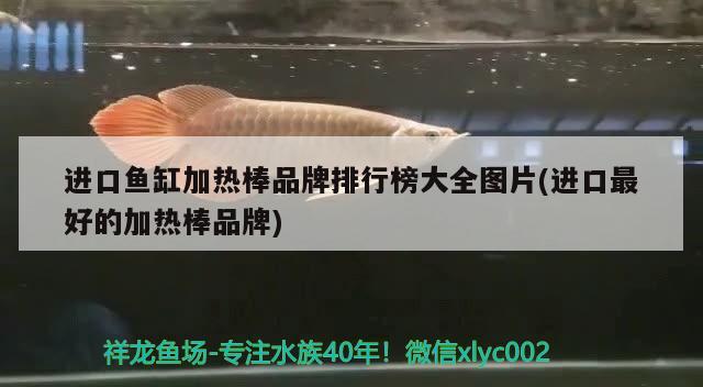 進(jìn)口魚缸加熱棒品牌排行榜大全圖片(進(jìn)口最好的加熱棒品牌) 魚缸清潔用具