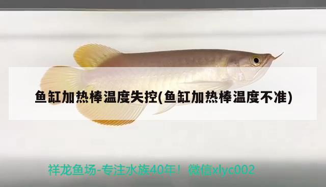 魚缸加熱棒溫度失控(魚缸加熱棒溫度不準(zhǔn)) 金老虎魚