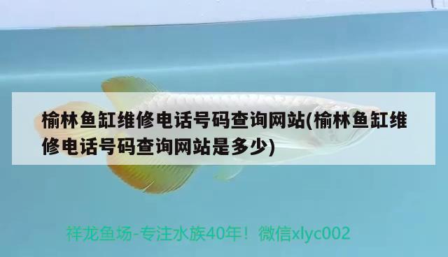 榆林魚(yú)缸維修電話號(hào)碼查詢網(wǎng)站(榆林魚(yú)缸維修電話號(hào)碼查詢網(wǎng)站是多少)