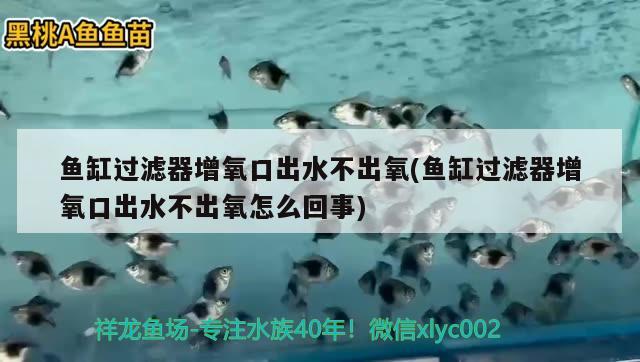 魚缸過濾器增氧口出水不出氧(魚缸過濾器增氧口出水不出氧怎么回事)