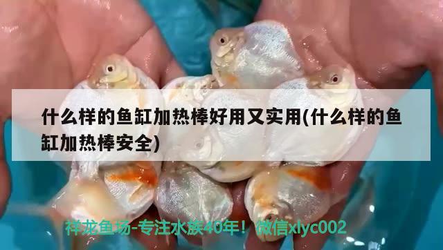 什么樣的魚缸加熱棒好用又實用(什么樣的魚缸加熱棒安全) 溫控設(shè)備