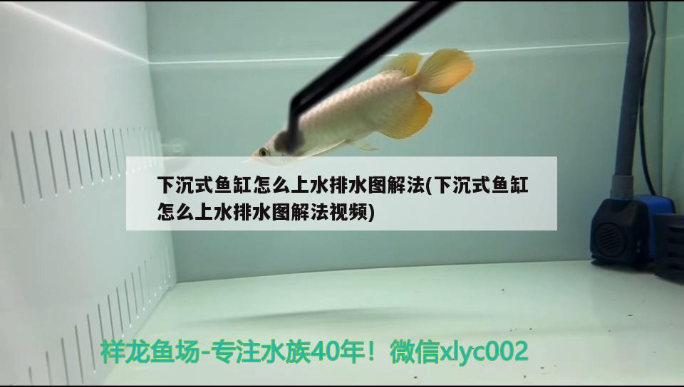 下沉式魚缸怎么上水排水圖解法(下沉式魚缸怎么上水排水圖解法視頻)