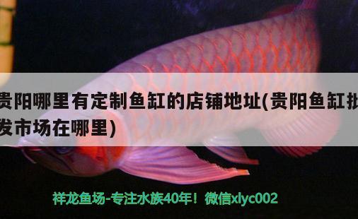 貴陽哪里有定制魚缸的店鋪地址(貴陽魚缸批發(fā)市場在哪里)