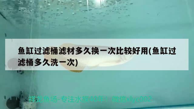 魚缸過濾桶濾材多久換一次比較好用(魚缸過濾桶多久洗一次)