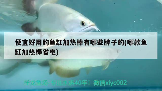 便宜好用的魚缸加熱棒有哪些牌子的(哪款魚缸加熱棒省電)