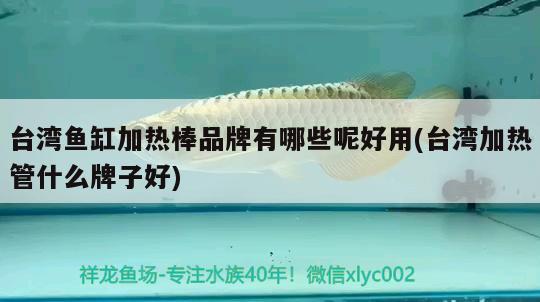 臺灣魚缸加熱棒品牌有哪些呢好用(臺灣加熱管什么牌子好) 定時器/自控系統(tǒng)