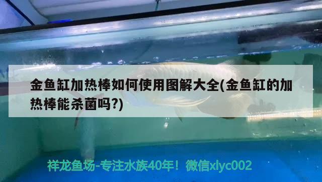 金魚缸加熱棒如何使用圖解大全(金魚缸的加熱棒能殺菌嗎?)