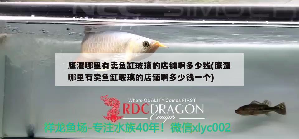 鷹潭哪里有賣魚缸玻璃的店鋪啊多少錢(鷹潭哪里有賣魚缸玻璃的店鋪啊多少錢一個) 祥龍赫舞紅龍魚