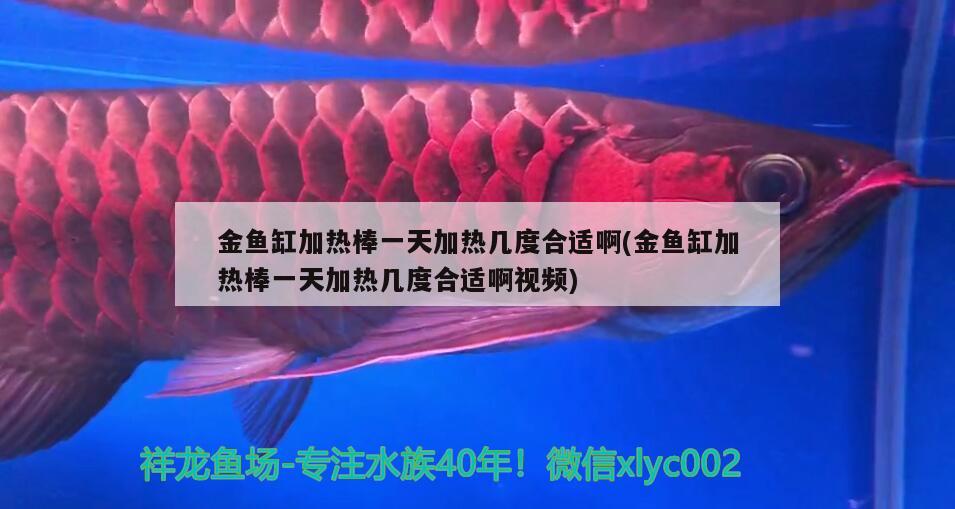 金魚缸加熱棒一天加熱幾度合適啊(金魚缸加熱棒一天加熱幾度合適啊視頻)