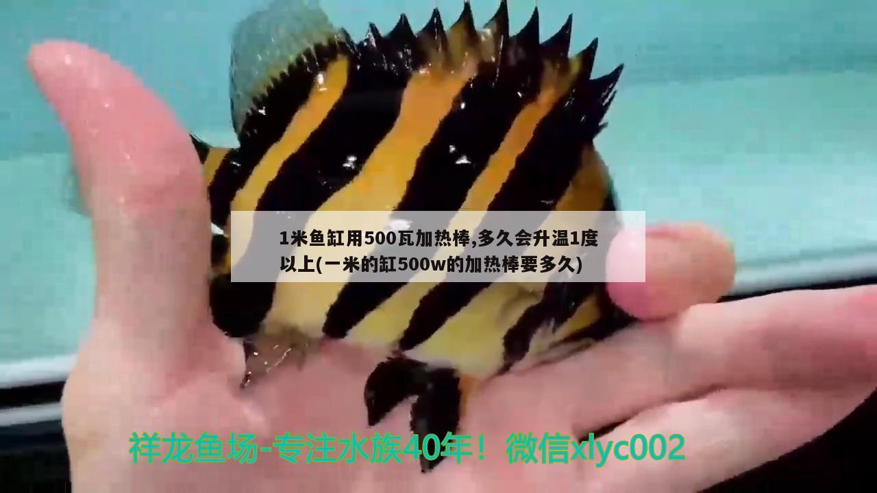 1米魚缸用500瓦加熱棒,多久會(huì)升溫1度以上(一米的缸500w的加熱棒要多久) 黃鰭鯧魚 第1張