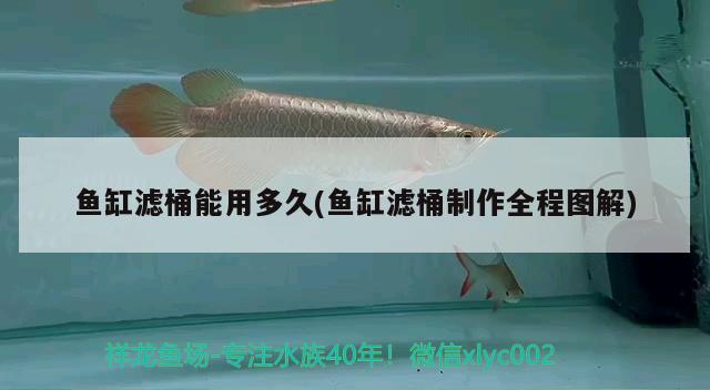 魚缸濾桶能用多久(魚缸濾桶制作全程圖解) 養(yǎng)魚知識