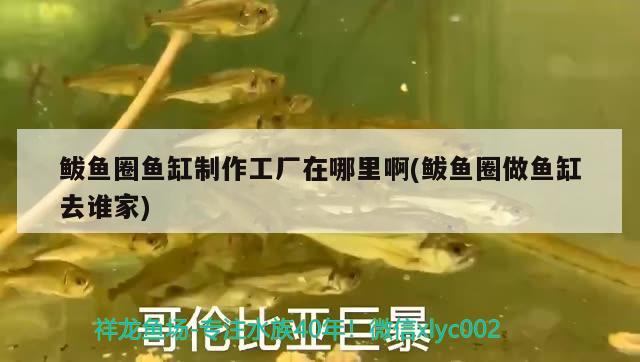 鲅魚圈魚缸制作工廠在哪里啊(鲅魚圈做魚缸去誰家) 名貴錦鯉魚