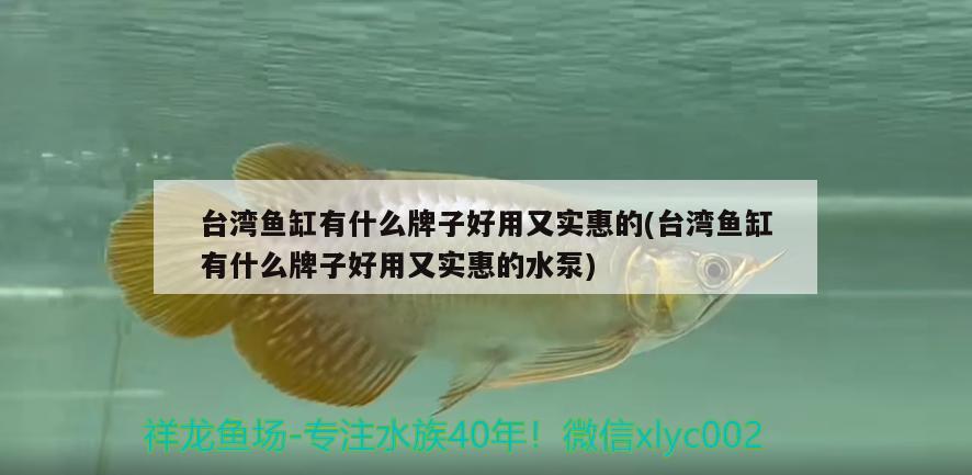 臺灣魚缸有什么牌子好用又實惠的(臺灣魚缸有什么牌子好用又實惠的水泵)