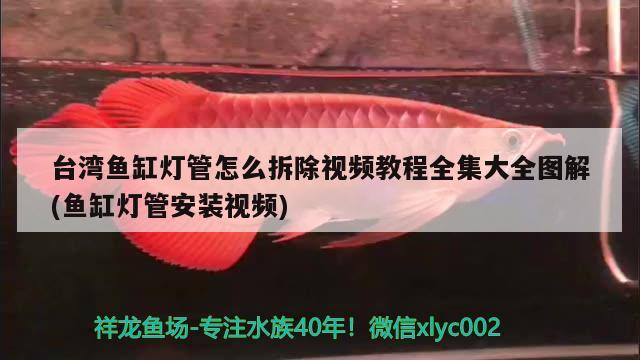 臺灣魚缸燈管怎么拆除視頻教程全集大全圖解(魚缸燈管安裝視頻) 白子黑帝王魟魚 第2張