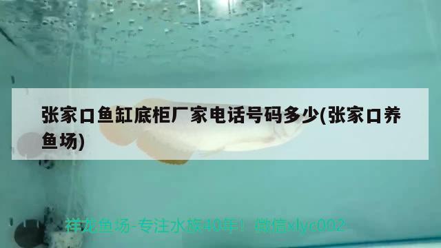 張家口魚(yú)缸底柜廠家電話號(hào)碼多少(張家口養(yǎng)魚(yú)場(chǎng))