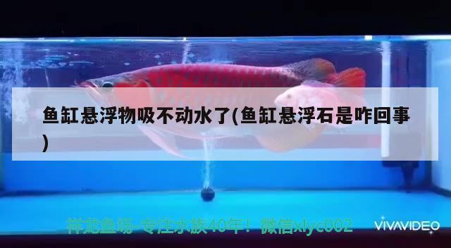 魚缸懸浮物吸不動(dòng)水了(魚缸懸浮石是咋回事)