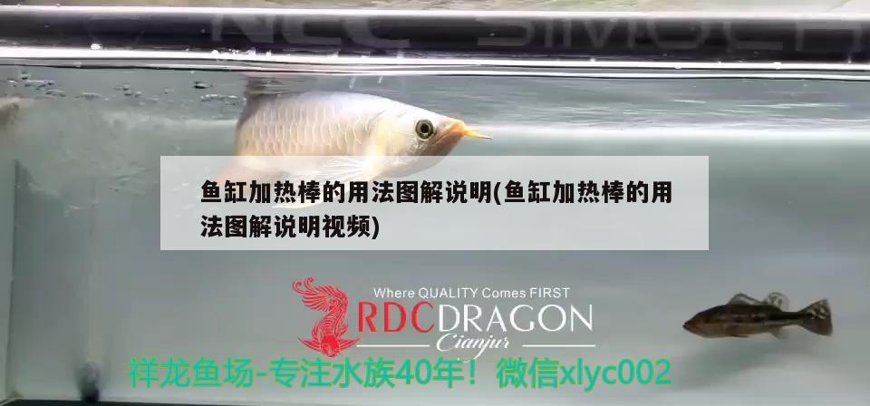 魚(yú)缸加熱棒的用法圖解說(shuō)明(魚(yú)缸加熱棒的用法圖解說(shuō)明視頻)