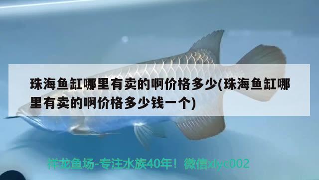 珠海魚缸哪里有賣的啊價格多少(珠海魚缸哪里有賣的啊價格多少錢一個) 溫控設(shè)備