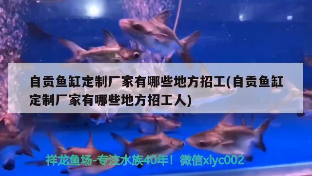 自貢魚缸定制廠家有哪些地方招工(自貢魚缸定制廠家有哪些地方招工人)