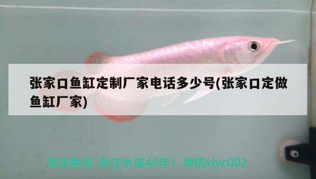 張家口魚缸定制廠家電話多少號(張家口定做魚缸廠家)