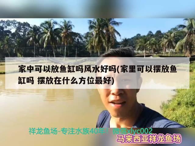 家中可以放魚缸嗎風(fēng)水好嗎(家里可以擺放魚缸嗎擺放在什么方位最好) 魚缸風(fēng)水