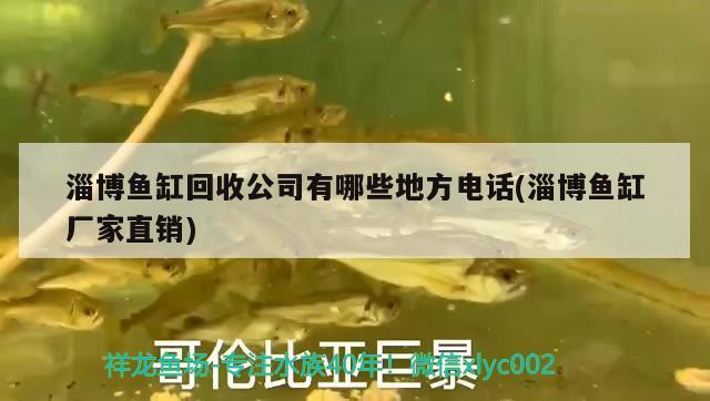 淄博魚(yú)缸回收公司有哪些地方電話(huà)(淄博魚(yú)缸廠(chǎng)家直銷(xiāo))