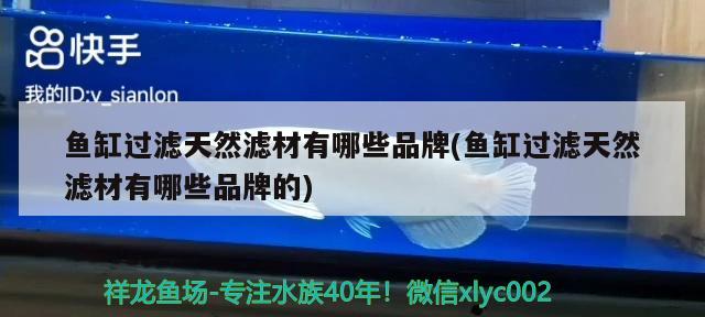 魚(yú)缸過(guò)濾天然濾材有哪些品牌(魚(yú)缸過(guò)濾天然濾材有哪些品牌的)