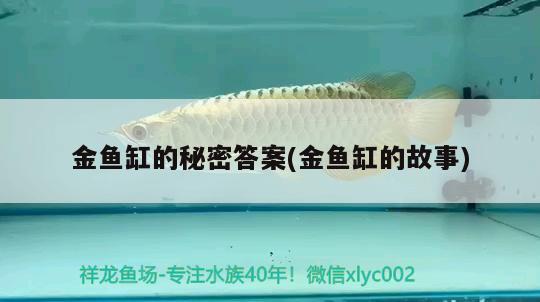 金魚缸的秘密答案(金魚缸的故事) 麥肯斯銀版魚