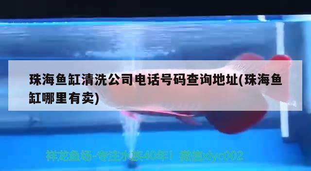 珠海魚缸清洗公司電話號碼查詢地址(珠海魚缸哪里有賣)